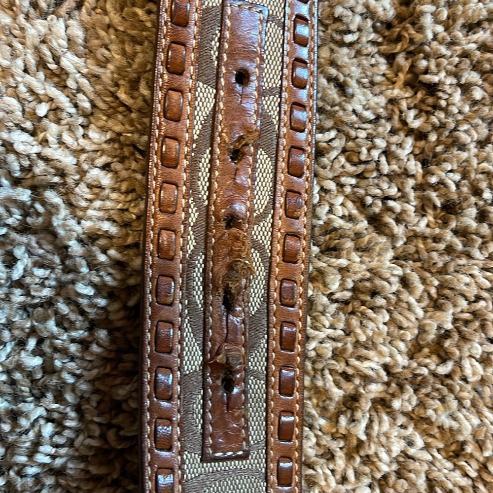 Coach Belt - Picture 4 of 6